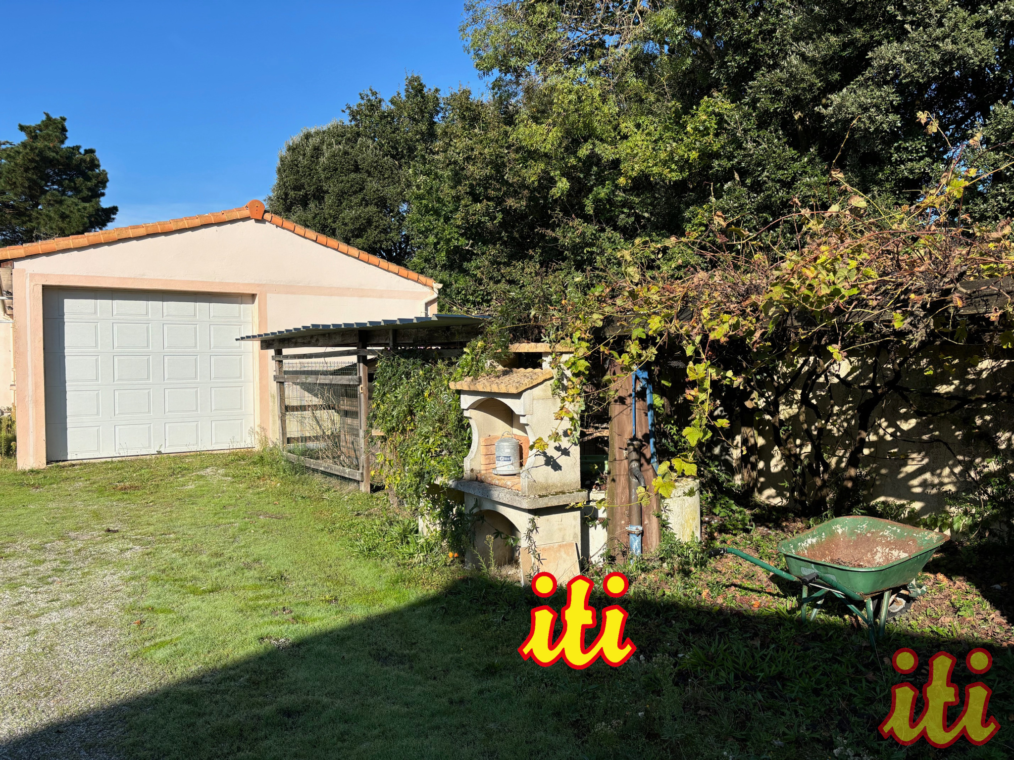 Photo 4